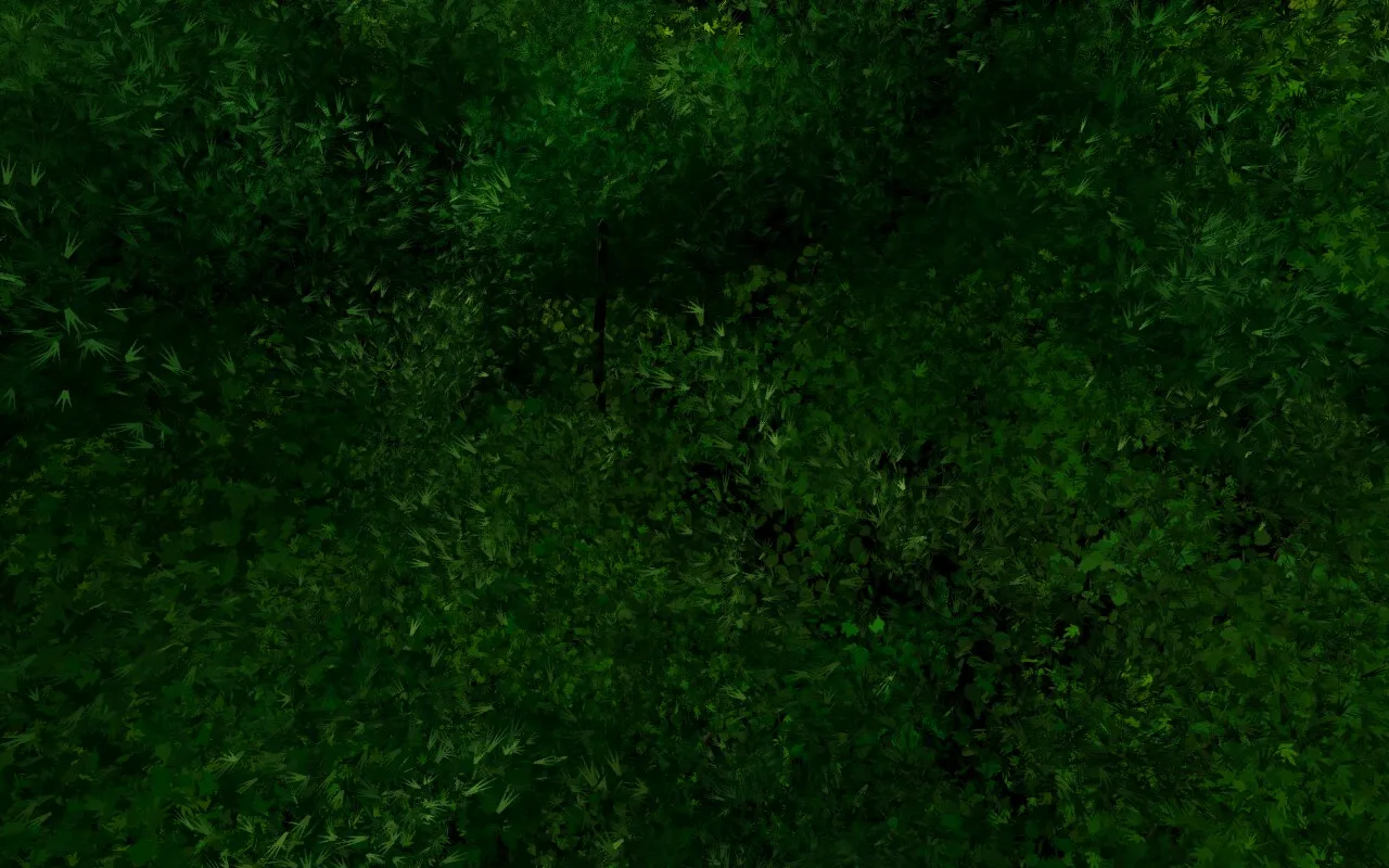 A frame of trees